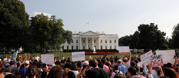 Beyaz Saray önünde DACA protestosu - Sputnik Türkiye