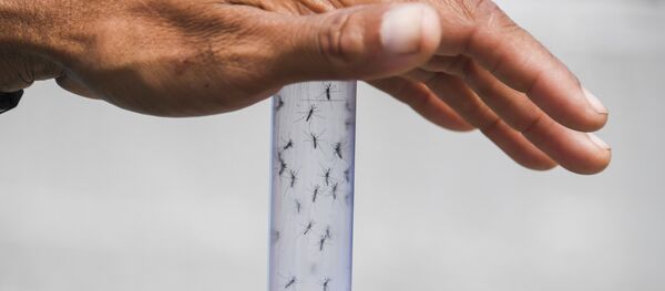 Zika virüsü beyin kanserinin tedavisinde kullanılabilir - Sputnik Türkiye