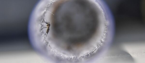 Zika virüsü beyin kanserinin tedavisinde kullanılabilir - Sputnik Türkiye