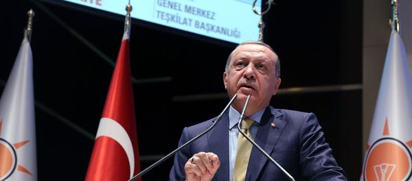 Cumhurbaşkanı Recep Tayyip Erdoğan - Sputnik Türkiye