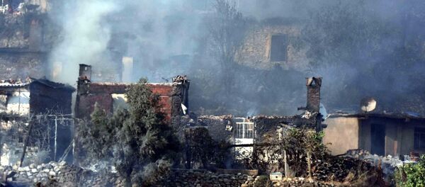 Muğla'da orman yangını - Sputnik Türkiye