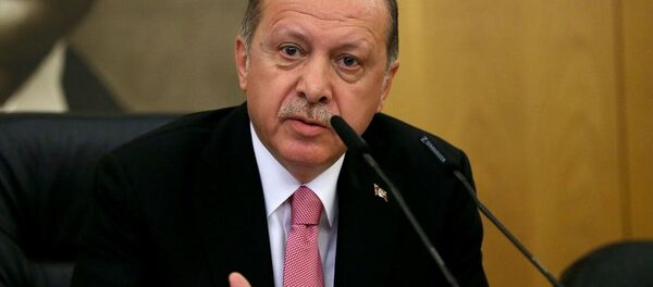 Cumhurbaşkanı Recep Tayyip Erdoğan Cumhurbaşkanı Recep Tayyip Erdoğan - Sputnik Türkiye