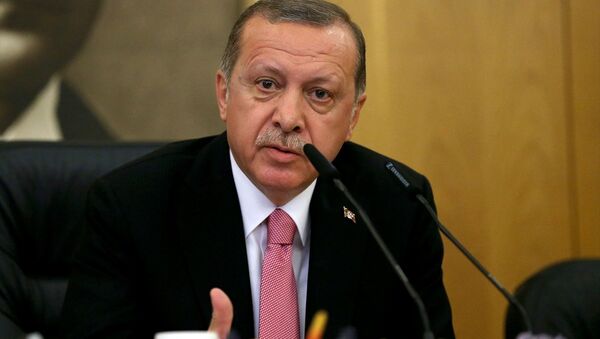 Cumhurbaşkanı Recep Tayyip Erdoğan - Sputnik Türkiye