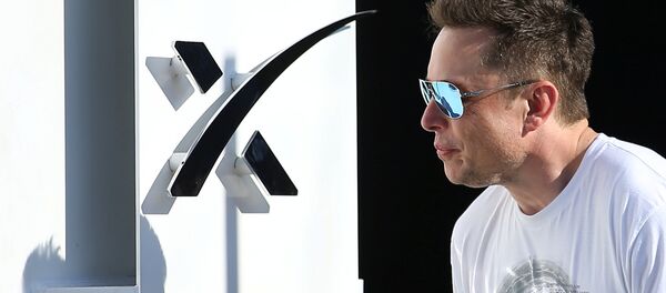 Elon Musk - Sputnik Türkiye