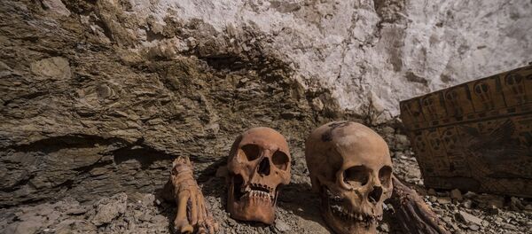 Mısır'da 3500 yıllık mezar keşfedildi - Sputnik Türkiye