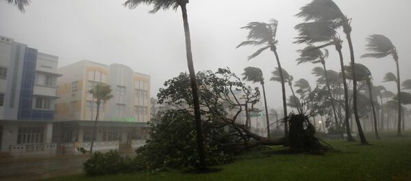 Irma Kasırgası Florida'ya ulaştı - Sputnik Türkiye