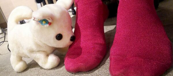 Ayak kokusunu ölçen robot köpek 'Hana' - Sputnik Türkiye