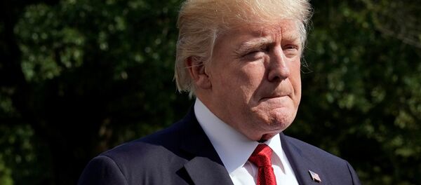 Donald Trump - Sputnik Türkiye