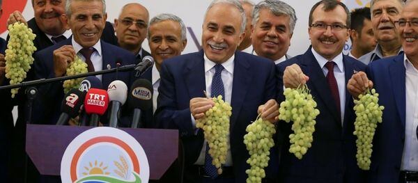 Gıda Tarım ve Hayvancılık Bakanı Ahmet Eşref Fakıbaba - Sputnik Türkiye