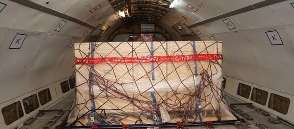 Herakles Lahdi Türkiye'ye getirildi - Sputnik Türkiye