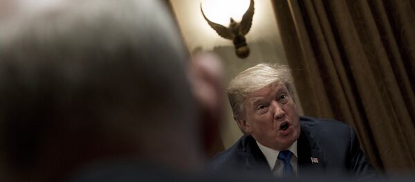 ABD Başkanı Donald Trump - Sputnik Türkiye