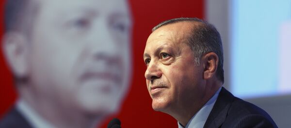 Cumhurbaşkanı Recep Tayyip Erdoğan Cumhurbaşkanı Recep Tayyip Erdoğan - Sputnik Türkiye