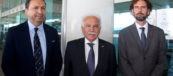 Vatan Partisi Genel Başkanı Doğu Perinçek - Sputnik Türkiye