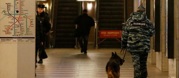 Rus polisi - Sputnik Türkiye