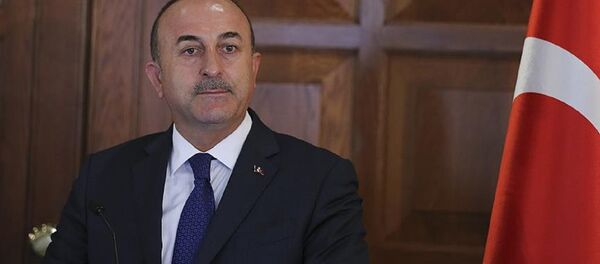 Dışişleri Bakanı Mevlüt Çavuşoğlu - Sputnik Türkiye