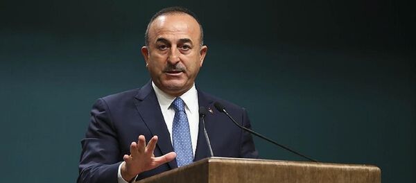 Dışişleri Bakanı Mevlüt Çavuşoğlu - Sputnik Türkiye