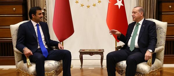 Cumhurbaşkanı Recep Tayyip Erdoğan ile Katar Emiri Şeyh Temim bin Hamed El Sani - Sputnik Türkiye