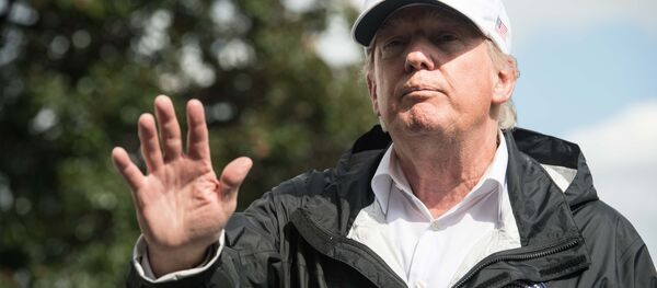 ABD Başkanı Donald Trump - Sputnik Türkiye