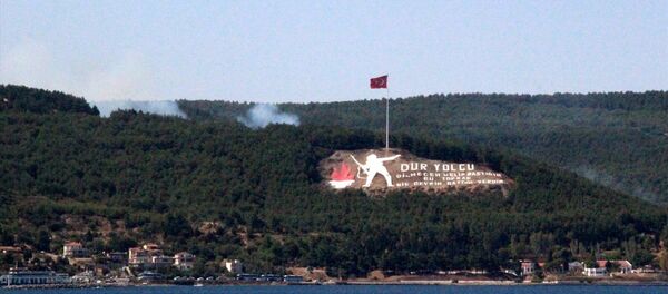 Gelibolu'da orman yangını - Sputnik Türkiye