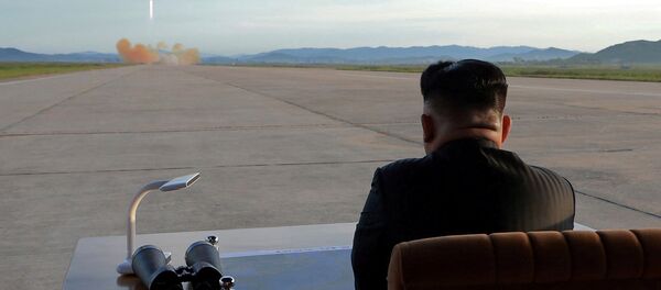 Kuzey Kore lideri Kim Jong-Un - Sputnik Türkiye
