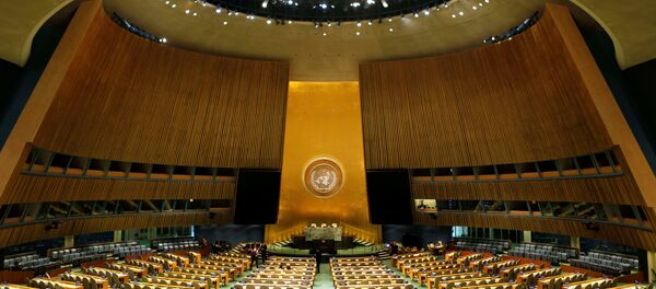 BM Genel Kurulu - Sputnik Türkiye