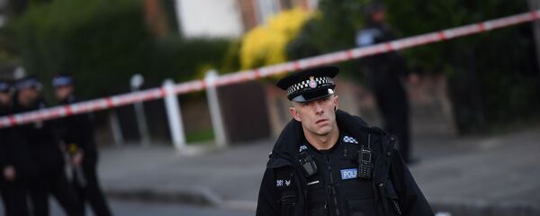 İngiliz polisi - Sputnik Türkiye