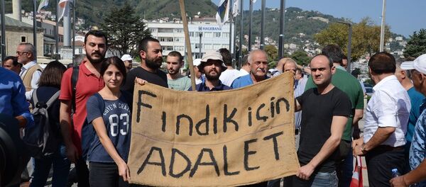 CHP'nin 'Fındık İçin Yürüyoruz' etkinliği - Sputnik Türkiye