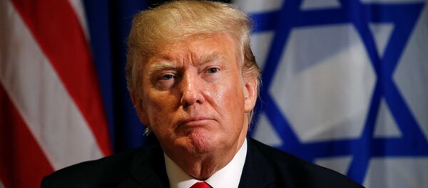 ABD Başkanı Donald Trump - Sputnik Türkiye