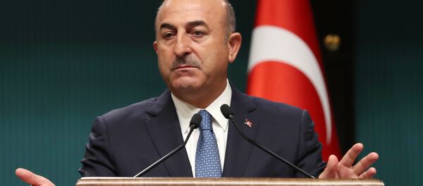 Dışişleri Bakanı Mevlüt Çavuşoğlu - Sputnik Türkiye