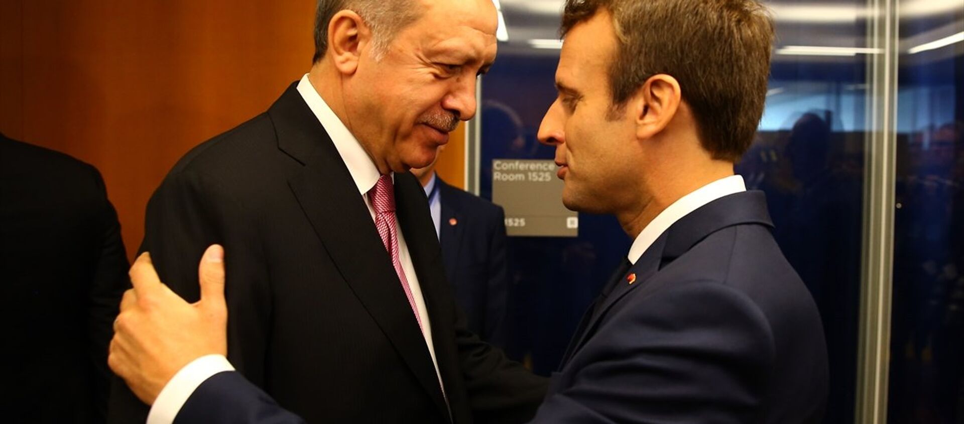 Cumhurbaşkanı Recep Tayyip Erdoğan ve Fransa Cumhurbaşkanı Emmanuel Macron - Sputnik Türkiye, 1920, 29.05.2018