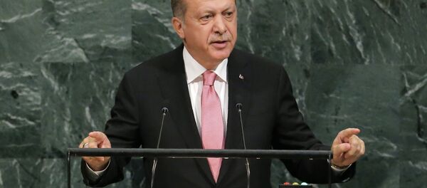 Cumhurbaşkanı Recep Tayyip Erdoğan - Sputnik Türkiye