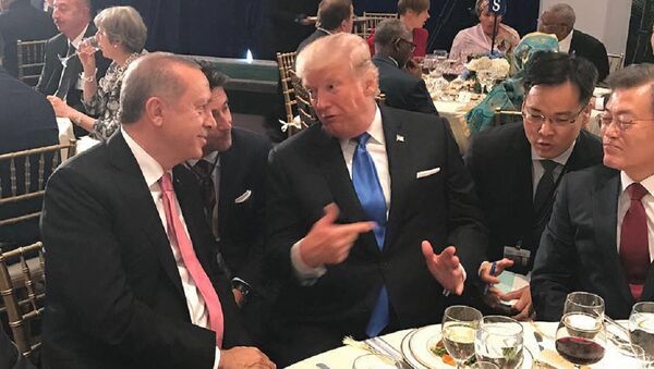 Cumhurbaşkanı Recep Tayyip Erdoğan, ABD Başkanı Donald Trump - Sputnik Türkiye