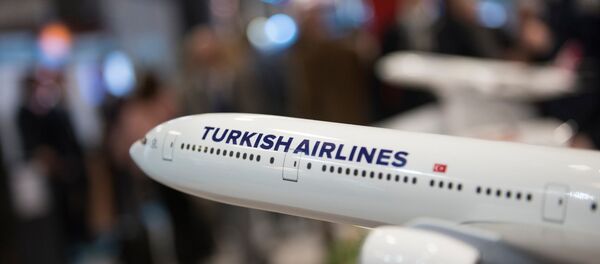 THY - Sputnik Türkiye