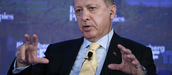 Cumhurbaşkanı Recep Tayyip Erdoğan - Sputnik Türkiye