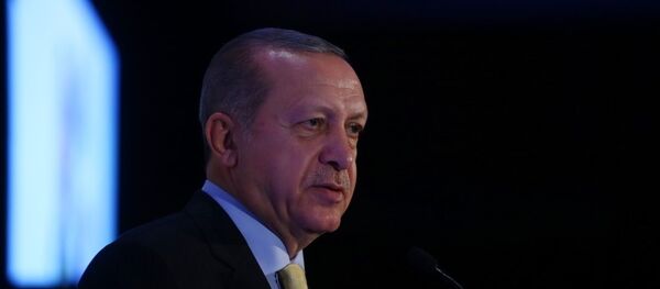 Cumhurbaşkanı Recep Tayyip Erdoğan - Sputnik Türkiye