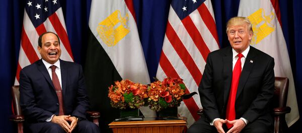 ABD Başkanı Donald Trump- Mısır Cumhurbaşkanı Abdülfettah el Sisi ABD Başkanı Donald Trump- Mısır Cumhurbaşkanı Abdülfettah el Sisi - Sputnik Türkiye