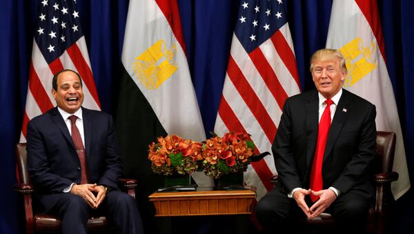 ABD Başkanı Donald Trump- Mısır Cumhurbaşkanı Abdülfettah el Sisi - Sputnik Türkiye