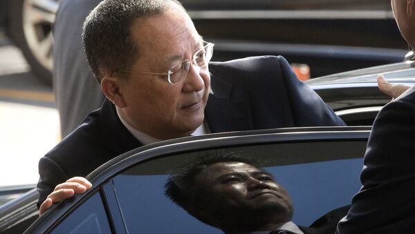 Kuzey Kore Dışişleri Bakanı Ri Yong Ho - Sputnik Türkiye