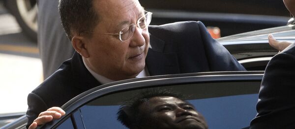 Kuzey Kore Dışişleri Bakanı Ri Yong Ho - Sputnik Türkiye