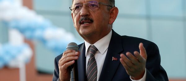 Çevre ve Şehircilik Bakanı Mehmet Özhaseki - Sputnik Türkiye