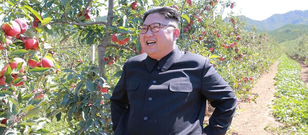 Kuzey Kore lideri Kim Jong-un - Sputnik Türkiye