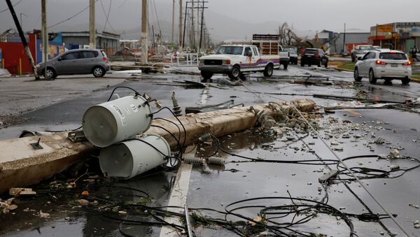 Maria Kasırgası- Porto Riko - Sputnik Türkiye