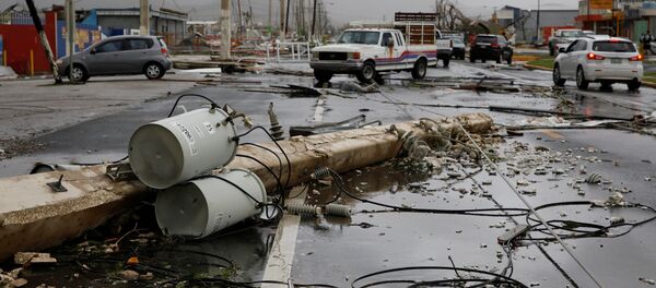 Maria Kasırgası- Porto Riko - Sputnik Türkiye
