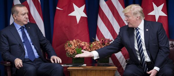 ABD Başkanı Donald Trump- Cumhurbaşkanı Recep Tayyip Erdoğan - Sputnik Türkiye