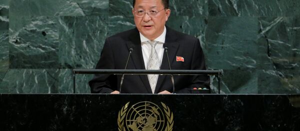 Kuzey Kore Dışişleri Bakanı Ri Yong-ho - Sputnik Türkiye