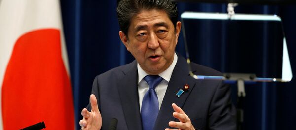 Japonya Başbakanı Şinzo Abe - Sputnik Türkiye