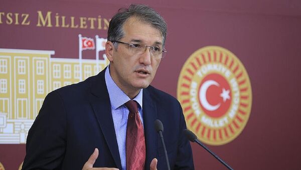 CHP Bursa Milletvekili Ceyhun İrgil - Sputnik Türkiye