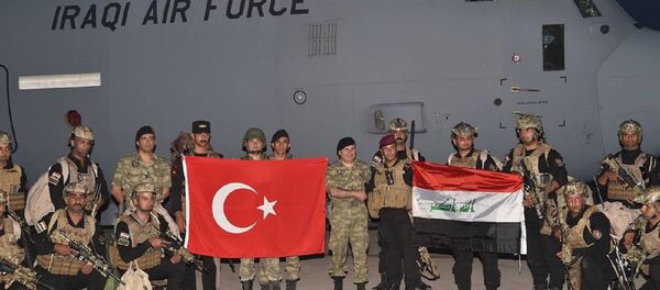 TSK ile Irak ordusundan ortak tatbikat - Sputnik Türkiye