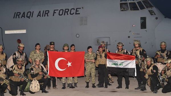 TSK ile Irak ordusundan ortak tatbikat - Sputnik Türkiye