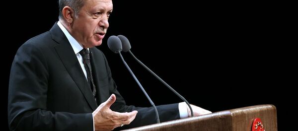 Cumhurbaşkanı Recep Tayyip Erdoğan - Sputnik Türkiye